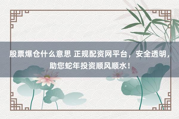 股票爆仓什么意思 正规配资网平台，安全透明，助您蛇年投资顺风顺水！