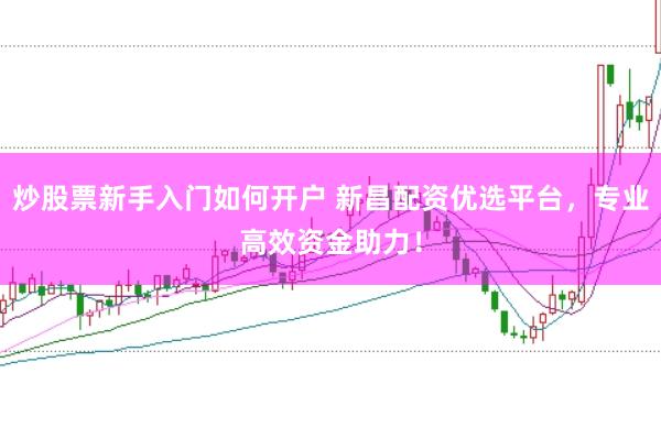 炒股票新手入门如何开户 新昌配资优选平台，专业高效资金助力！