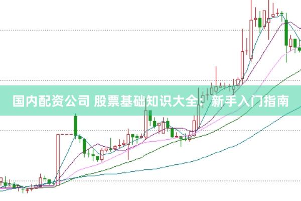 国内配资公司 股票基础知识大全：新手入门指南