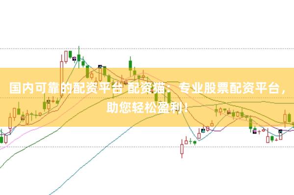 国内可靠的配资平台 配资猫：专业股票配资平台，助您轻松盈利！