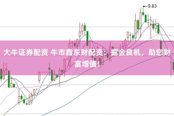 大牛证券配资 牛市鑫东财配资：掘金良机，助您财富增值！