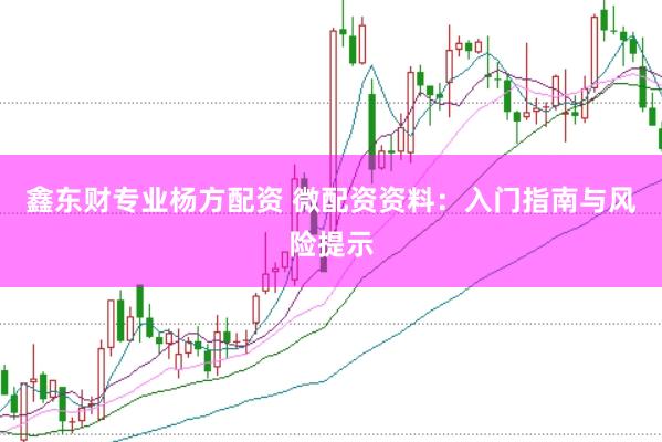 鑫东财专业杨方配资 微配资资料：入门指南与风险提示