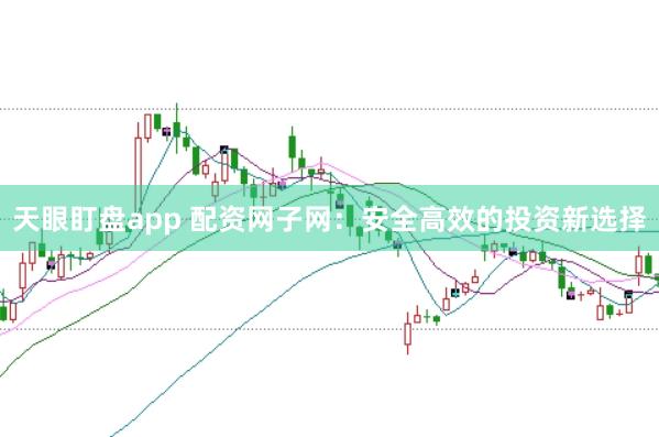 天眼盯盘app 配资网子网：安全高效的投资新选择