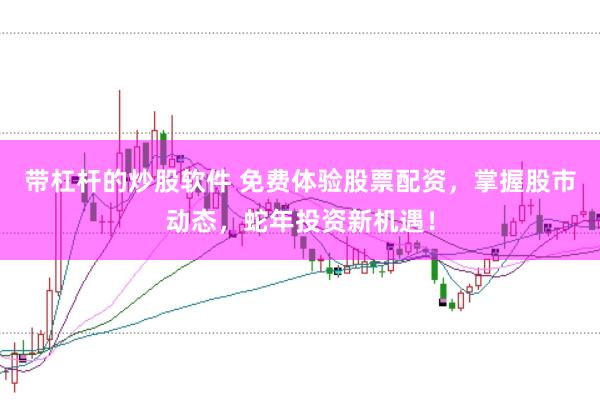 带杠杆的炒股软件 免费体验股票配资，掌握股市动态，蛇年投资新机遇！