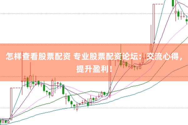怎样查看股票配资 专业股票配资论坛：交流心得，提升盈利！
