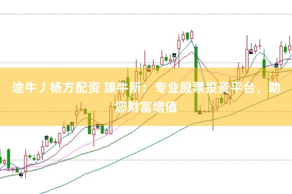 途牛丿杨方配资 臻牛所：专业股票投资平台，助您财富增值