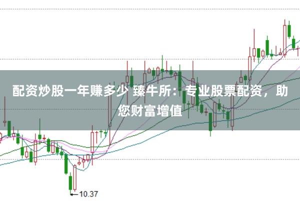 配资炒股一年赚多少 臻牛所：专业股票配资，助您财富增值
