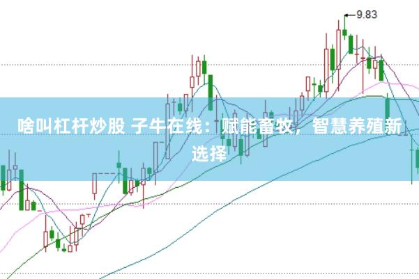 啥叫杠杆炒股 子牛在线：赋能畜牧，智慧养殖新选择