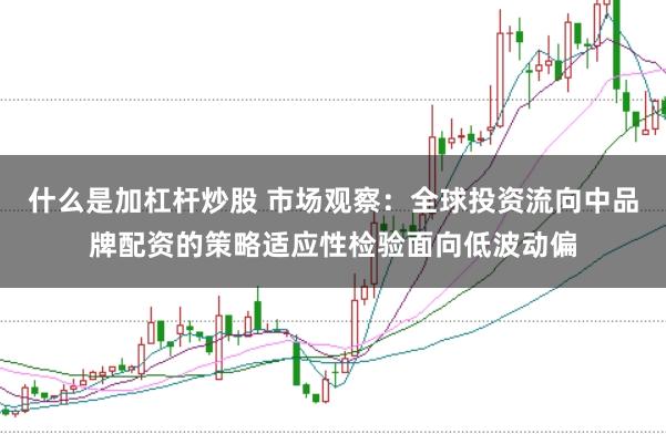 什么是加杠杆炒股 市场观察:全球投资流向中品牌配资的策略适应性检验面向低波动偏