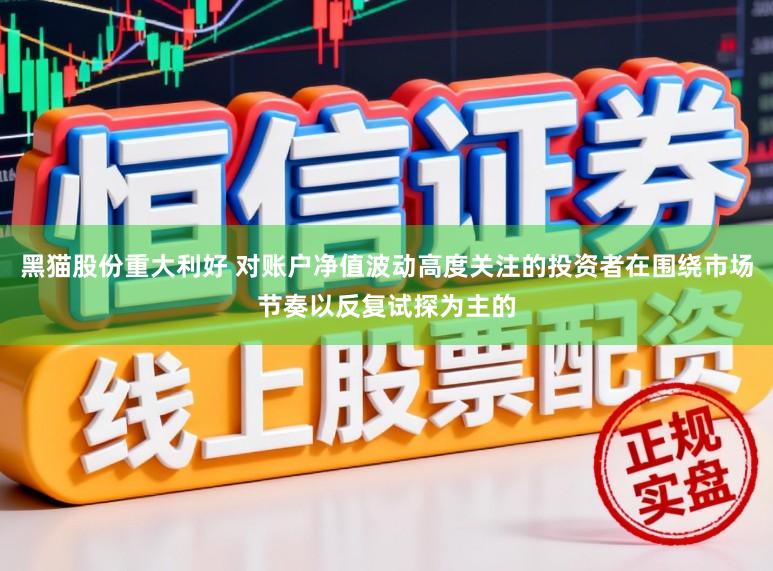 黑猫股份重大利好 对账户净值波动高度关注的投资者在围绕市场节奏以反复试探为主的