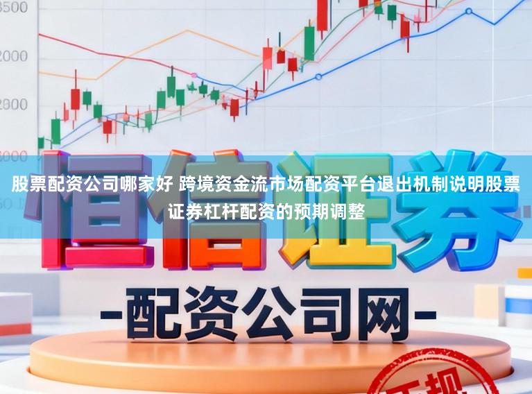 股票配资公司哪家好 跨境资金流市场配资平台退出机制说明股票证券杠杆配资的预期调整